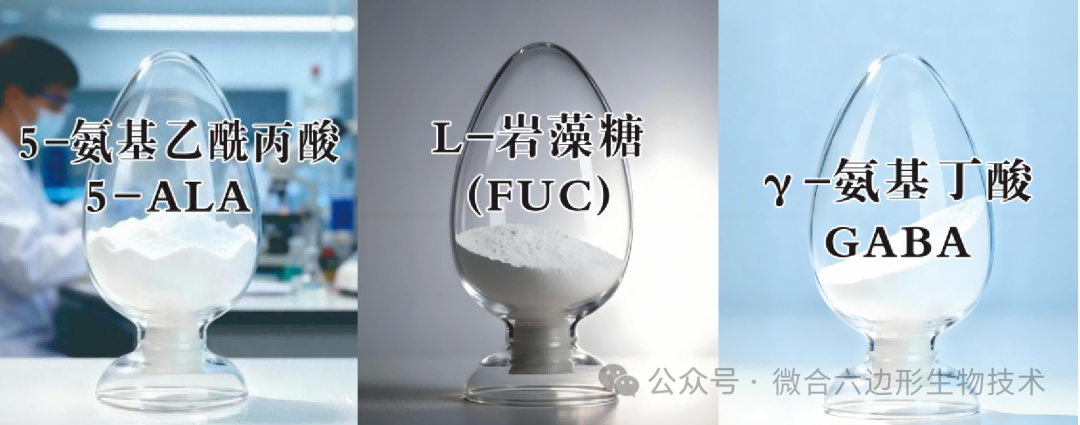 传4