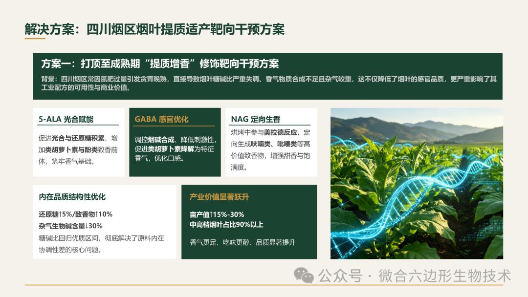 图6(1) 图6(1)
