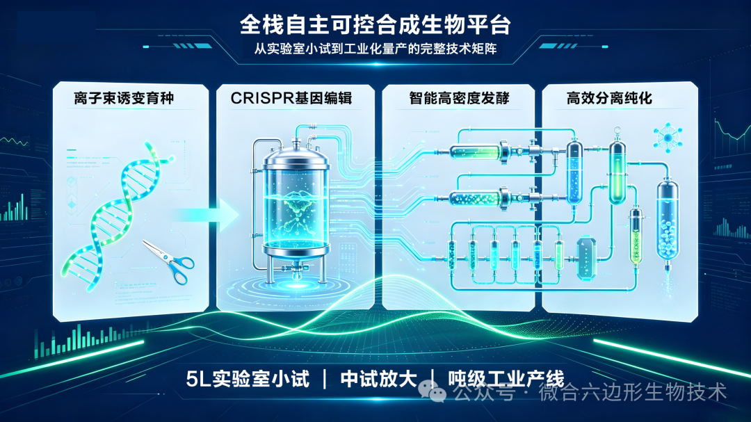 图五 图五