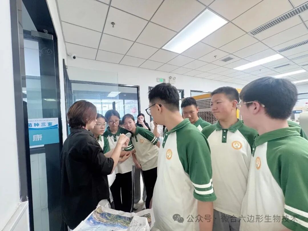 图3 图3